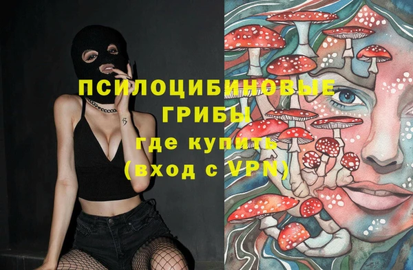 эйфоретик Алексеевка