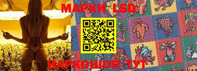 ПСИЛОЦИБИНОВЫЕ ГРИБЫ Донской