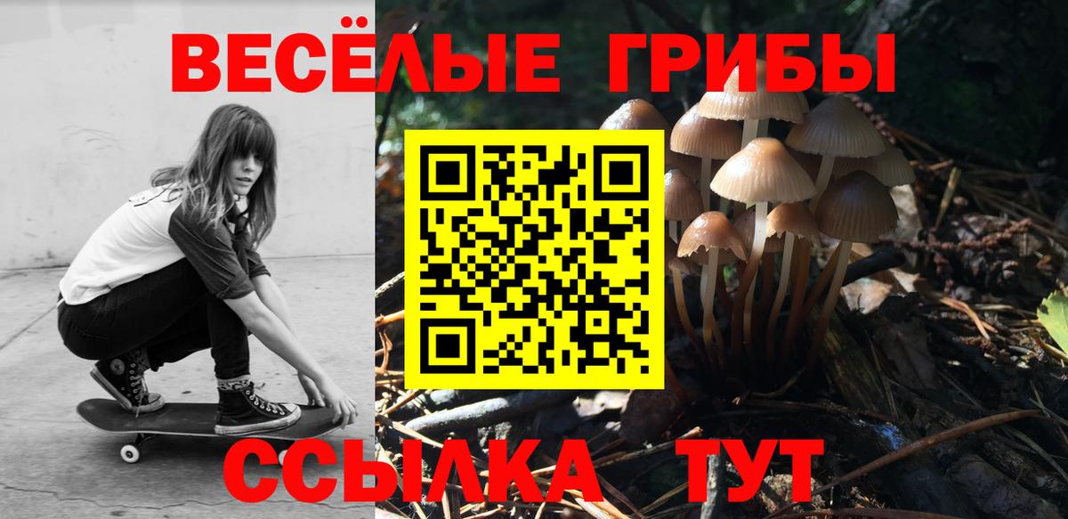 Псилоцибиновые грибы мухоморы Курчалой